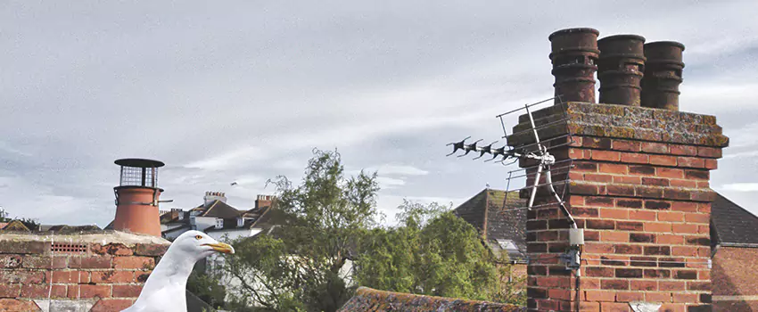 Chimney Cleaning And Restoration in Ajax, Ontario